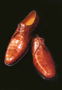 shoes image